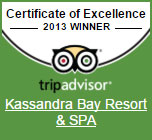 TripAdvisor Certificate 2013